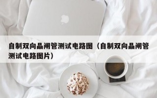 自制双向晶闸管测试电路图（自制双向晶闸管测试电路图片）