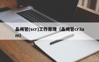 晶闸管(scr)工作原理（晶闸管cr3am）